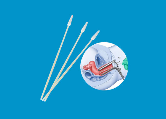 Nylon Fiber Cervical Flocked Disposable Sampling Swab For Cells DNA