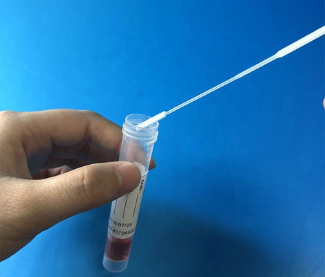Sampling Nylon Fiber DNA Buccal Swabs With Molded Breakpoint On Swab Stick